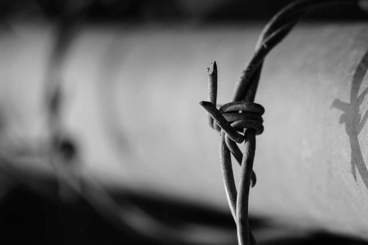 barbed wire, wire, fence-1899854.jpg